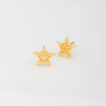 Aros Estrella de Mar